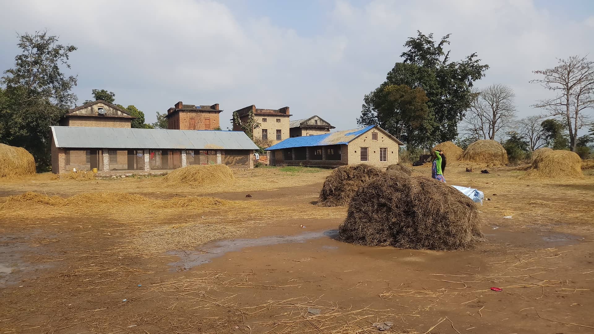 A rural agricultural landscape with haystacks and farm buildings in Malawar